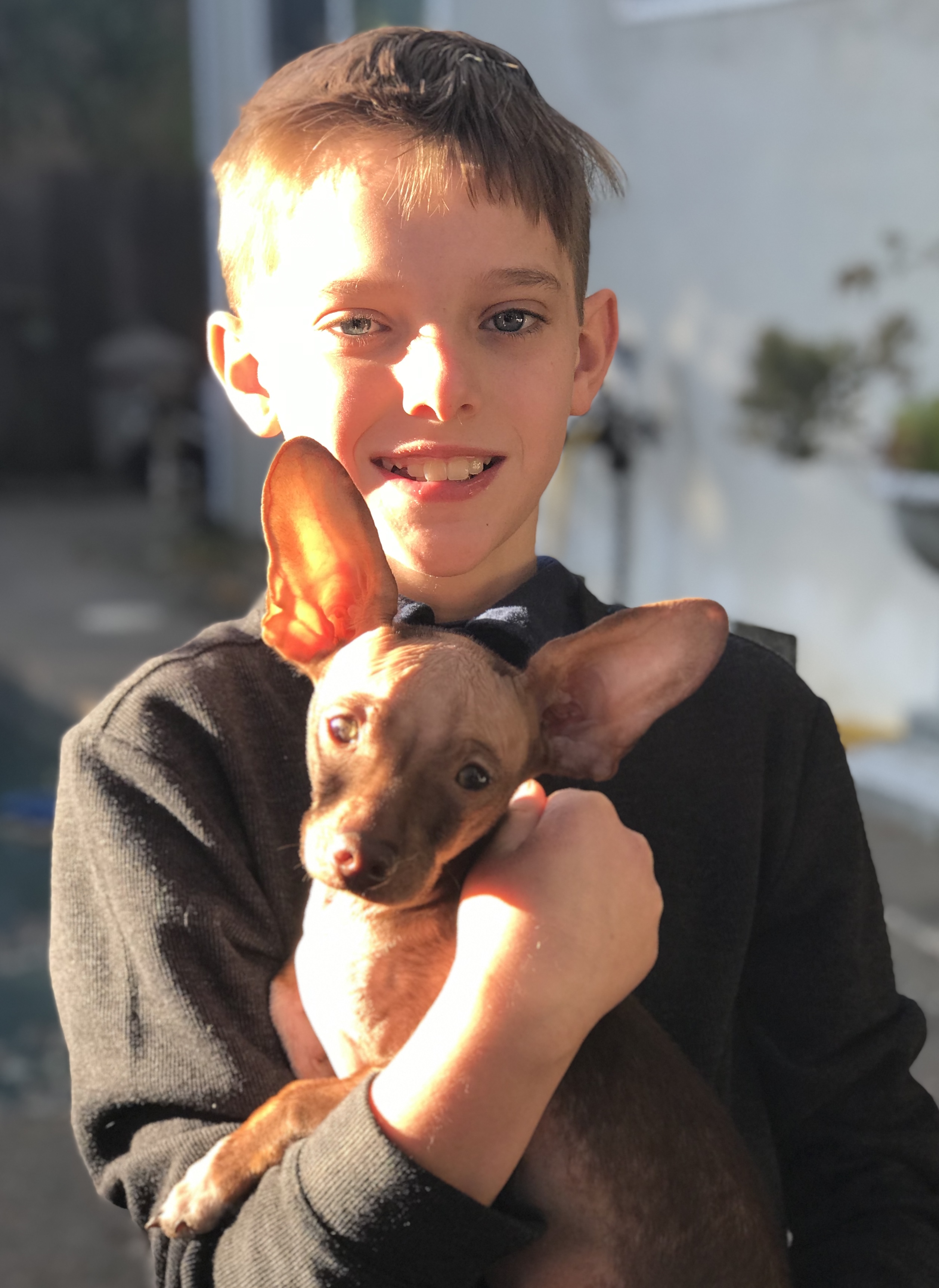 Pet Photography 8