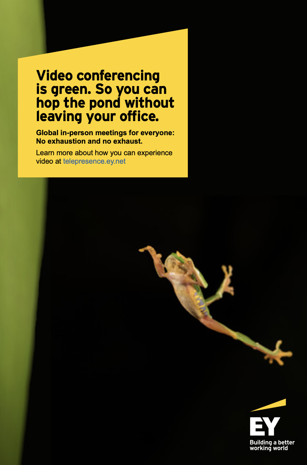 EY Video Conferencing Campaign